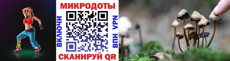 Галлюциногенные грибы мухоморы  Мурино 