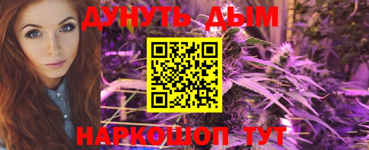 Каннабис планчик  Вход с VPN  Каннабис VHQ  Канабис SATIVA & INDICA  Мурино 